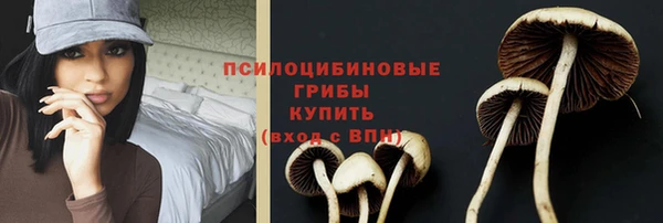 прущие грибы Алзамай