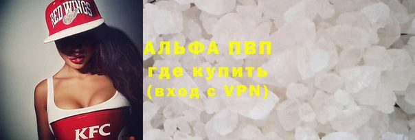 прущие грибы Алзамай