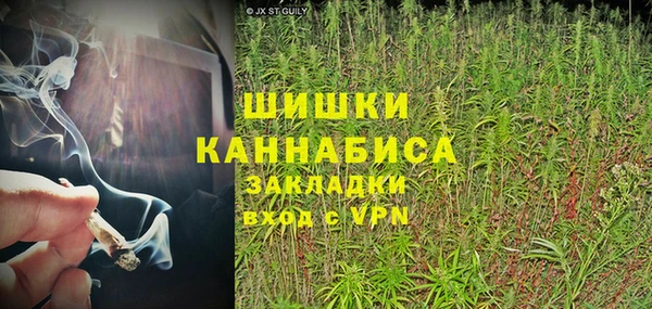 прущие грибы Алзамай