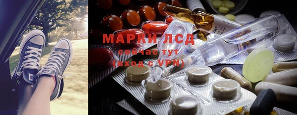 прущие грибы Алзамай