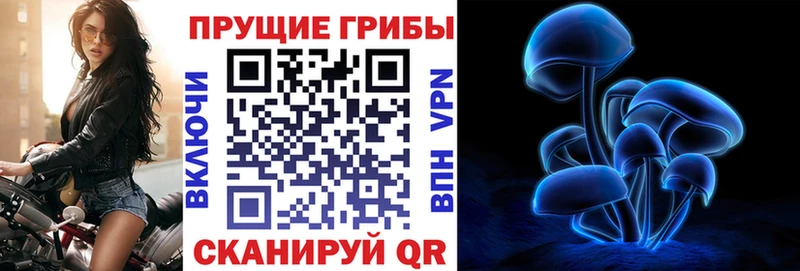 купить   Карабаш  Псилоцибиновые грибы Magic Shrooms 